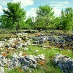 La plateau aride du Quercy